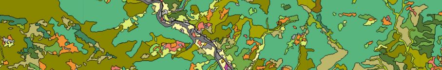 Uso del suolo e tipi forestali