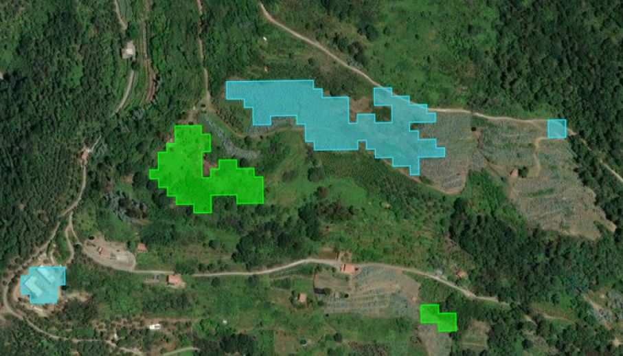 Aree diminuzione biomassa vegetale 2022-2025