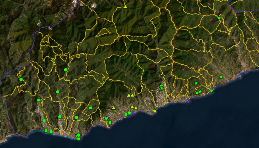 Punti di monitoraggio Ceratocystis platani